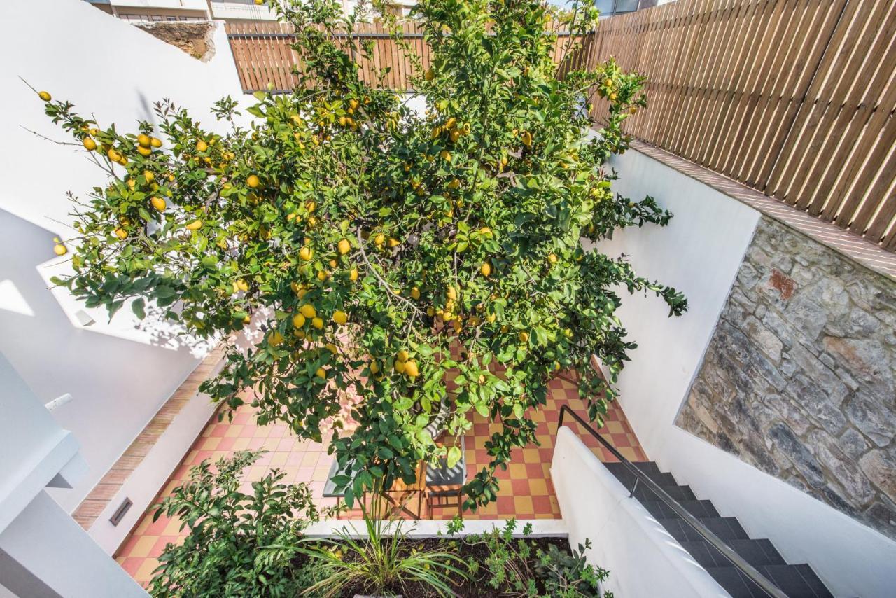 Frühstückspension Lemon Tree Distrikt Faro
